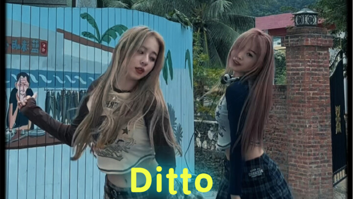 Ditto美式复古版 双人翻跳