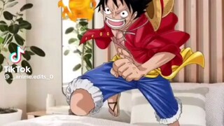 gosh Luffy!!!!!!!!