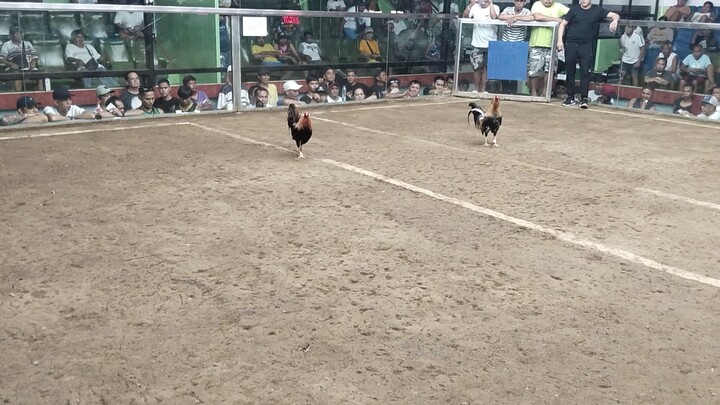 3RD FIGHT WIN FANTASTIC COLISEUM