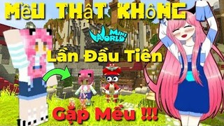 KHI CHỊ MỀU CHƠI MINI WORLD VÀ KHANG ĐÃ TÌM THẤY CHỊ MỀU VÀ CÁI KẾT ( Tập 1 )