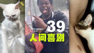 人间喜剧 PT.39