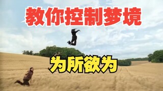 Lucid Dreaming! How to Control Your Dreams?