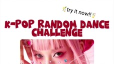KPOP random dance 2023 edition (케이팝 랜덤 댄스)