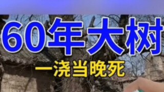 Now we've really run into a living Yama.