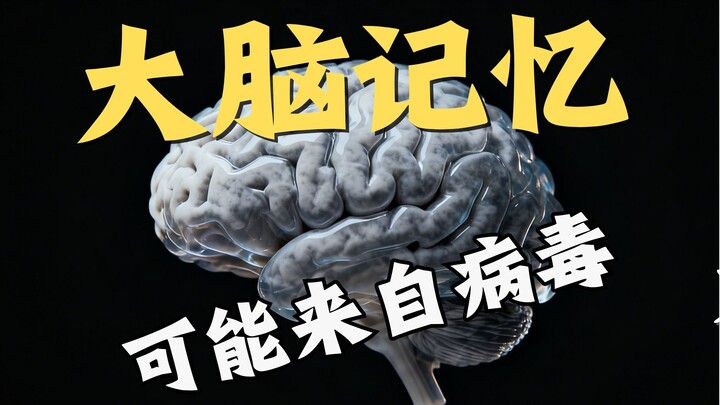 Could Human Brain Memory Actually Come From Viruses?