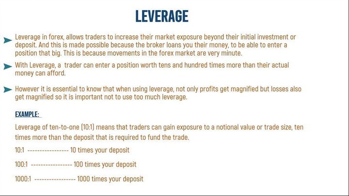 5. Forex Leverage Explained: 10:1, 100:1 & 1000:1 Leverage | Risks, Margin & Trading Basics