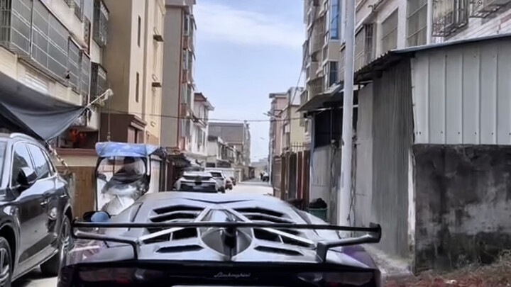 At this moment, I finally understood the meaning of all my years of hard work.