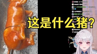 梨安看这是什么猪🐷这是梨安大嘟嘟🤭