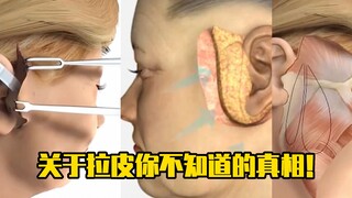 الحقيقة التي لا تعرفها عن لابي