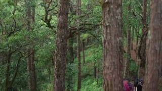 Star and Sky: Sky in Your Heart episode 1