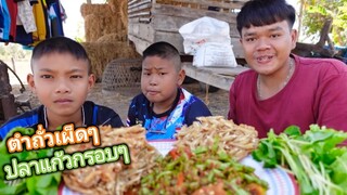 ตำถั่วเผ็ดๆทอดปลาแก้วกรอบๆ ข้าวคำใหญ่ๆแซ่บคักครับผม
