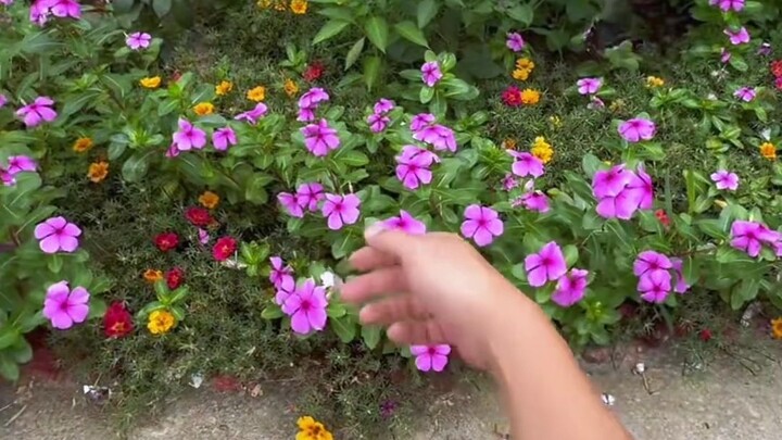 ถ่ายวิดีโอบนชนบทแบบนี้รู้สึกได้เลยว่าต่างออกไป