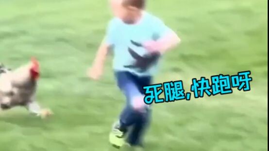 ลูกมนุษย์ต่อสู้กับ🐓