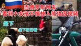 当俄罗斯网友看到女孩掉入熊猫园 熊猫排排坐围观营救视频的反应