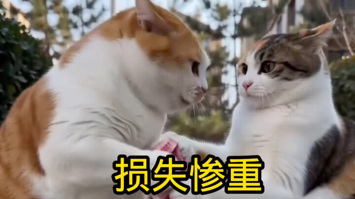 Thiệt hại nặng nề