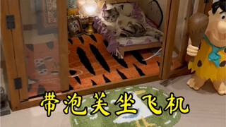 Our Fufu is also a little cat who has flown on an airplane. Wishing everyone a happy new year!