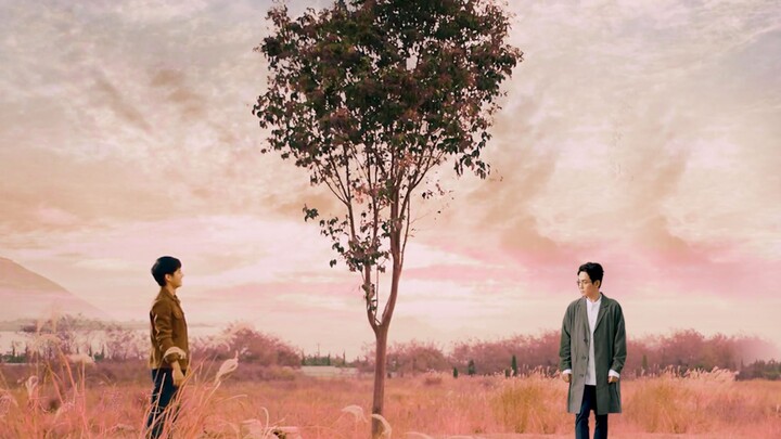 [Chu Nhất Long x Lưu Hạo Nhiên | Shen Wei x Yu Huai] Thề bằng một ngón tay - The Best of Us