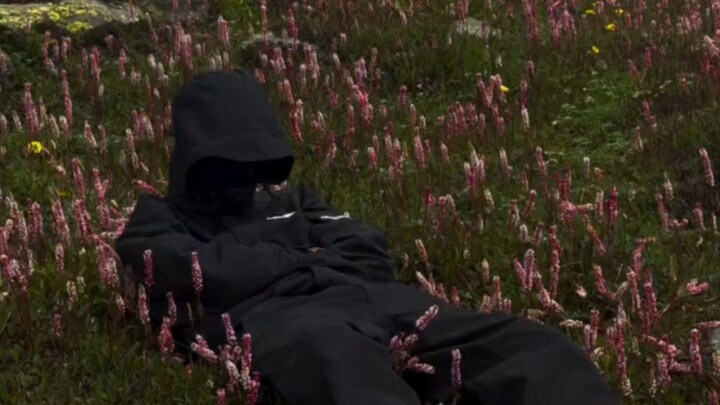 ☘️🌸