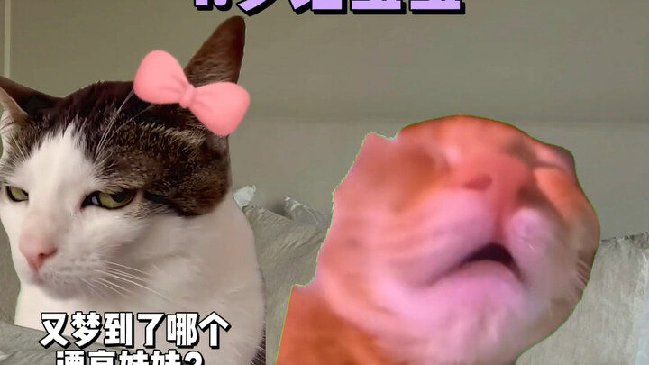 10 điểm tổng kết về bạn trai của tôi