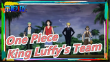 [One Piece] The Temperament of King Luffy's Team