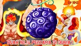 Bocoran One Piece 1045, Buah Iblis Luffy Adalah Buah Iblis Pertama di Dunia?