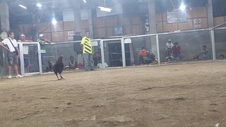 win mayahin