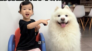 Human pups and puppy dogs are hilarious!