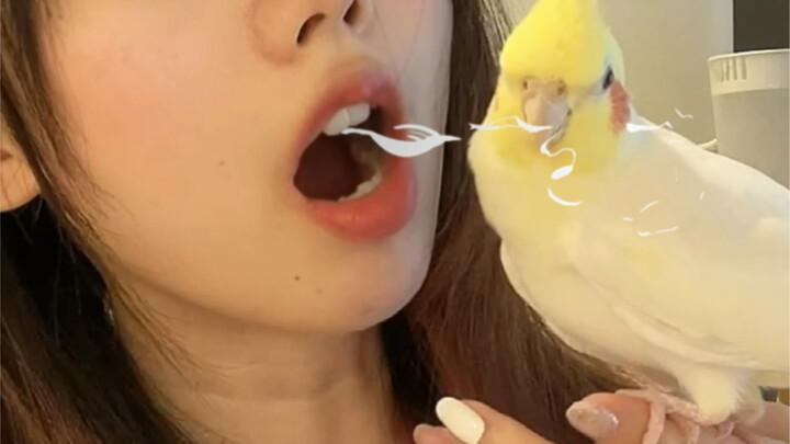 Just finished eating durian and went to kiss the parrot—let's see how it reacts!