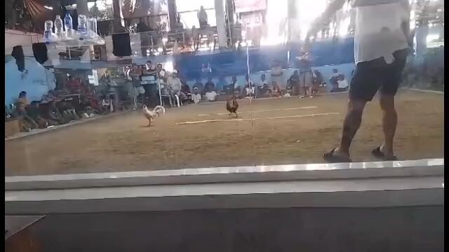 galing ng puti