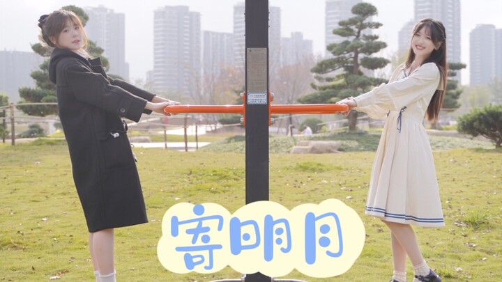（寄明月）无扇子版 新人小姐姐来啦