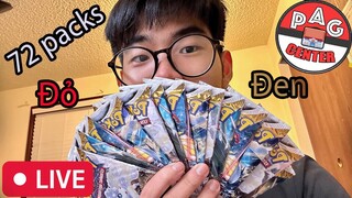 Sinh Nhật sớm cùng Yuz mở 72 Packs Silver Tempest bản Brazil..!!!!| Pokemon TCG | PAG Center