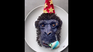 บางครั้งฉันได้ทำงานในโครงการที่น่าทึ่งที่สุด สุขสันต์วันเกิดซาลิน่า!