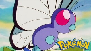 Pokémon Tập 4: Thách Thức Của Thiếu Niên Samurai (Lồng Tiếng)