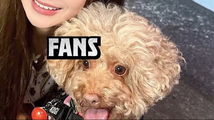 cuman 25 tahun bjir lah😢