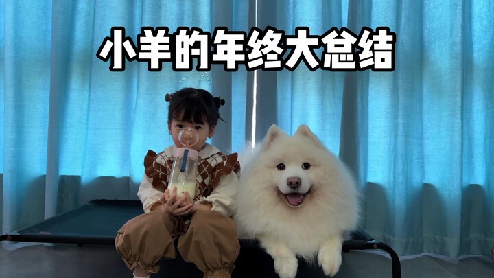 2023 Little Sheep Year-End Wrap-Up!