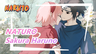 NATURO|Sakura Haruno, Hãy ngừng phô trương tính cách hấp dẫn của bạn đi！