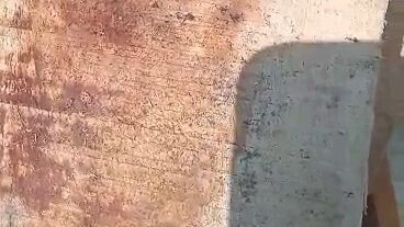 kayu jati