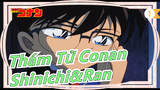 [Thám Tử Conan] Shinichi&Ran - Khoảnh khắc rung động cuối thế kỷ - Mong cậu có giấc mơ đẹp_C