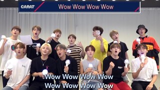 SEVENTEEN最新回归曲Hit官方应援视频公开