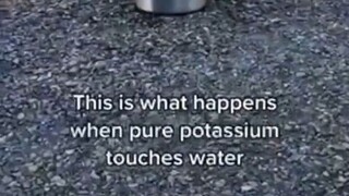 when potassium touches water