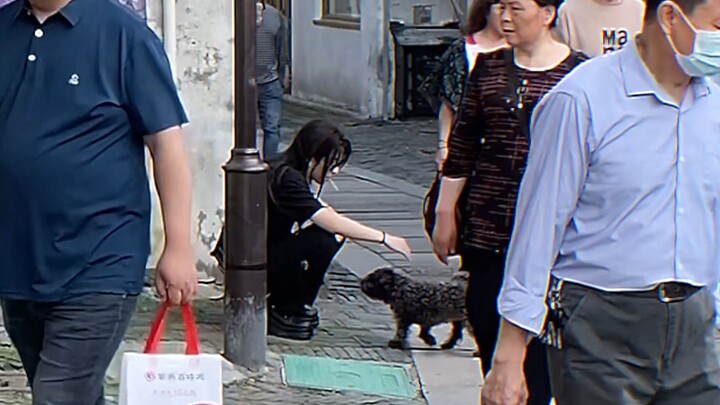 Chu Jiajun | Dipilih oleh Anak Anjing, Lalu Ditinggalkan Lagi olehnya T T