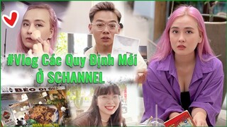 #DailyVlog Schannel sau tết với nhiều nội quy mới : Không còn COCC, xả rác phạt 100k, 11h đi làm !?!