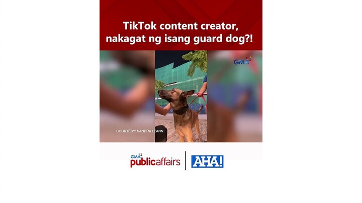 TikTok content creator, nakagat ng isang guard dog?! | AHA!