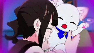 我家猫猫竟然是个美女？