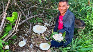 “เก็บเห็ดตะไค” แบบยาวๆ ต่อเนื่อง มัน ม่วน คัก!! (ใหญ่นะตัดผมแล้วหล่อแฮง)