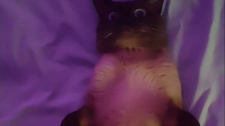 Mabuk Kertas, Terpesona Investasi