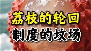 荔枝的血泪：把吃人包装成了规矩