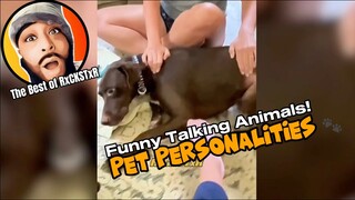 Best of RxCKSTxR Funny Talking Animal Voiceovers Compilation #2