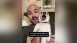 Is this his best reaction ever? baldhead baldfilter funnydogs tiktokdogs