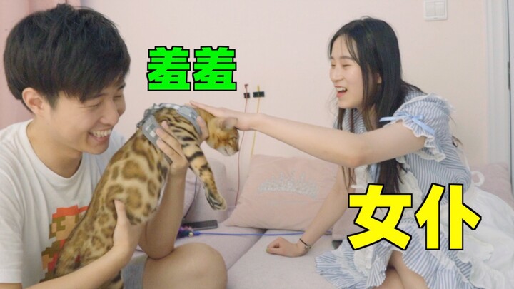 可能这就是你猫生的巅峰！带公猫去女仆店体验2小时花掉420元